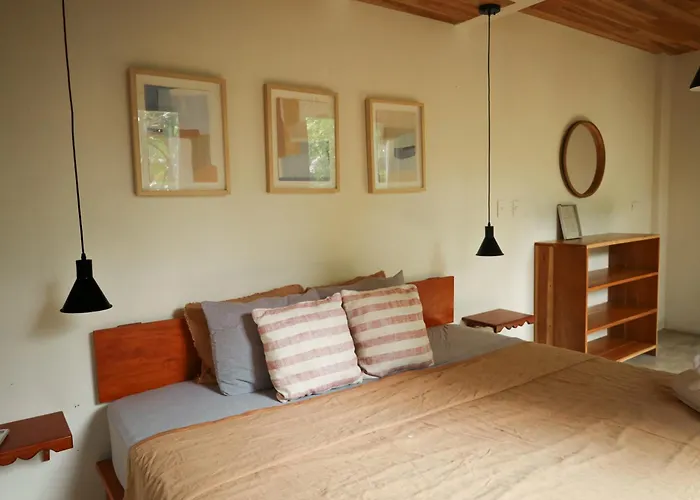 Zeneidas Surf Garden